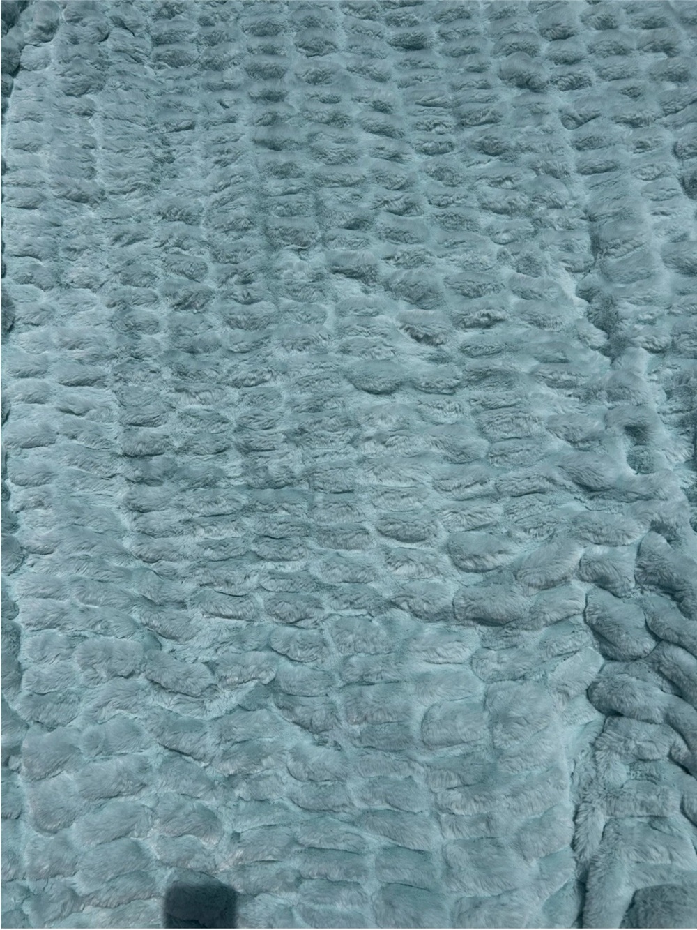 NWOT Minky Holic super soft Blanket - Seafoam Blue - Picture 2 of 5